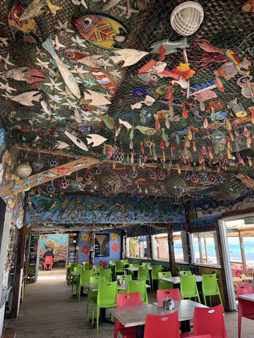 Donde Francesca: unique and vibrant interior