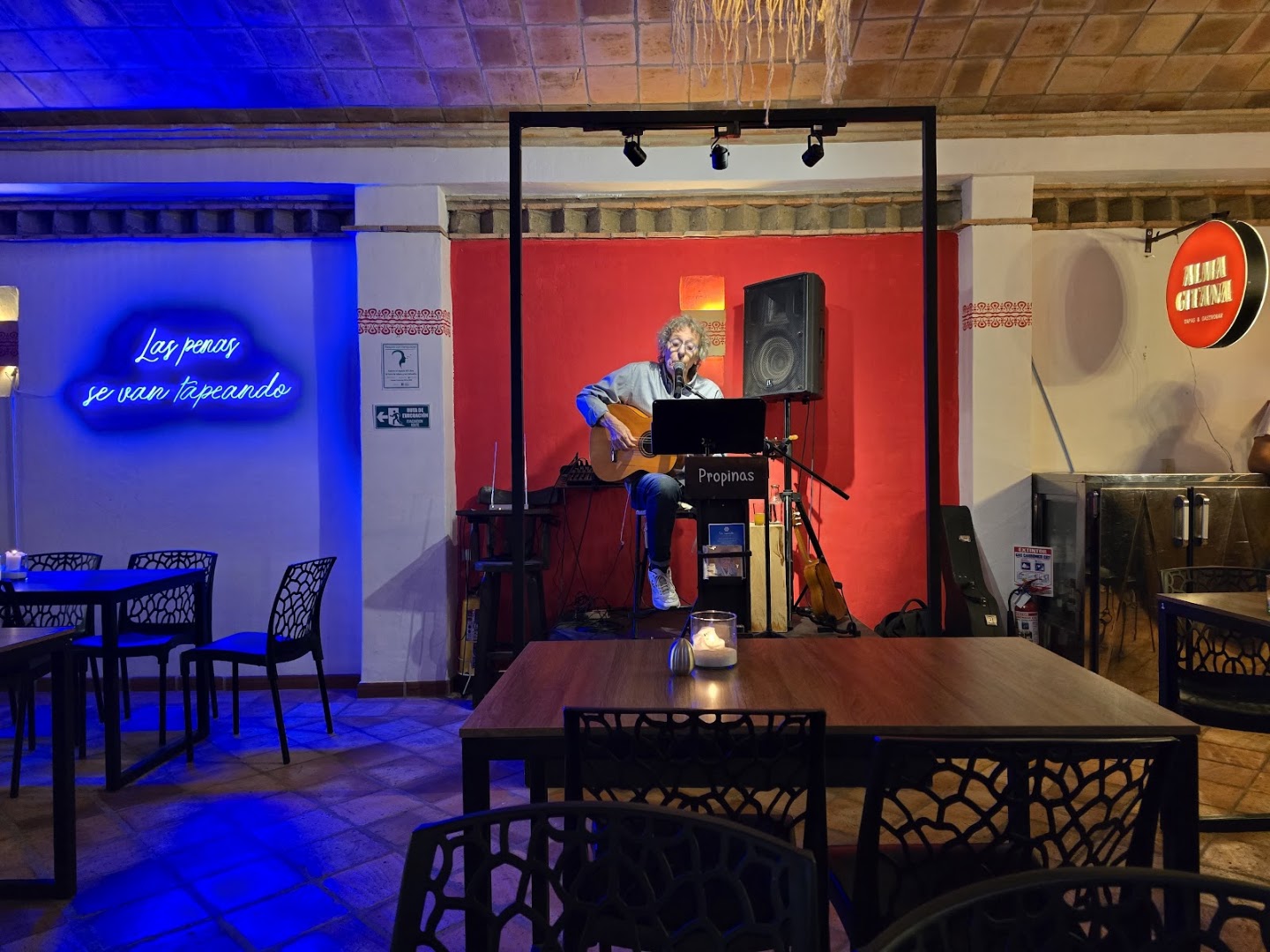 Alma Gitana: venue atmosphere and performance