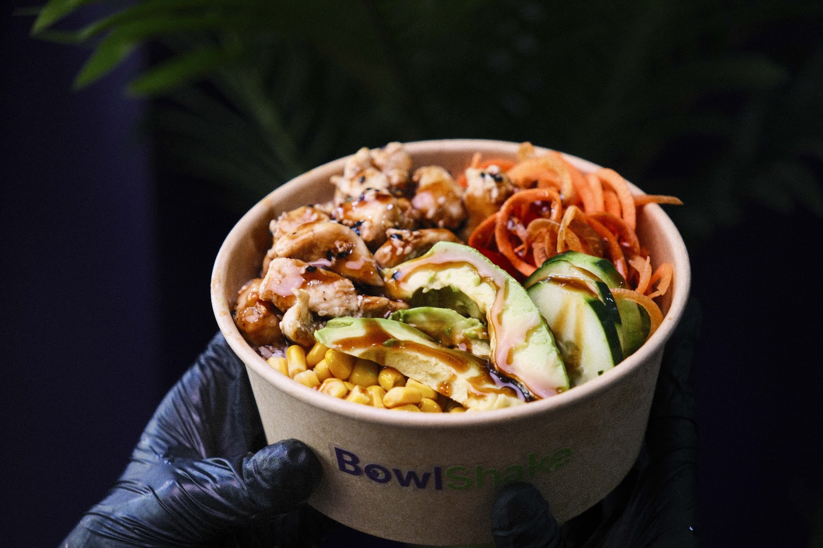 BowlShake: appetizing, professional food photography