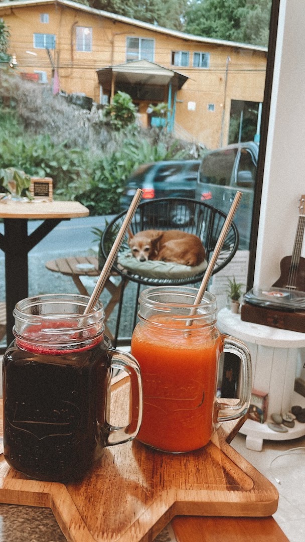 Luna Llena Collectiv: inviting atmosphere with shop products