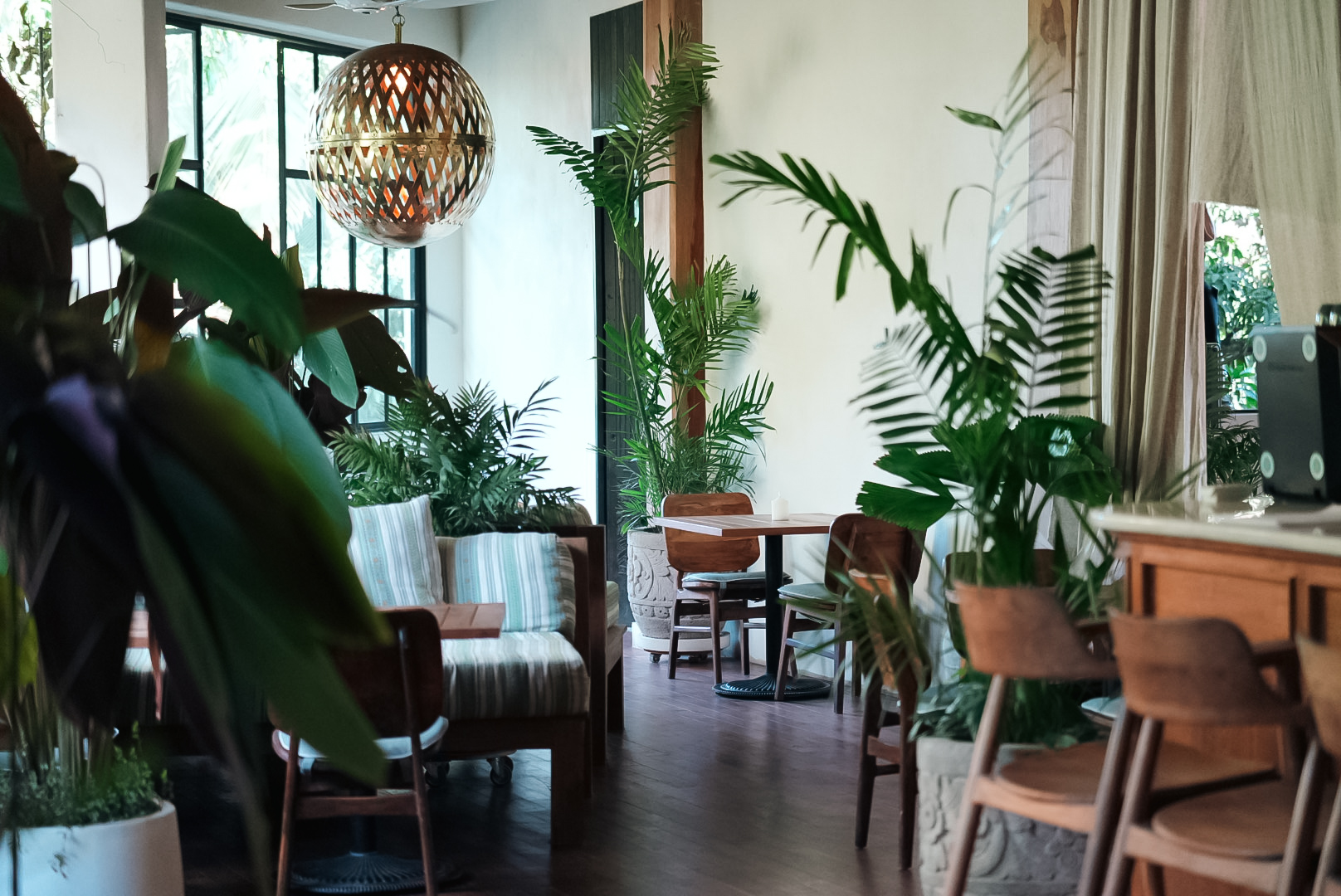 encuentro. Nosara: inviting and professional venue atmosphere