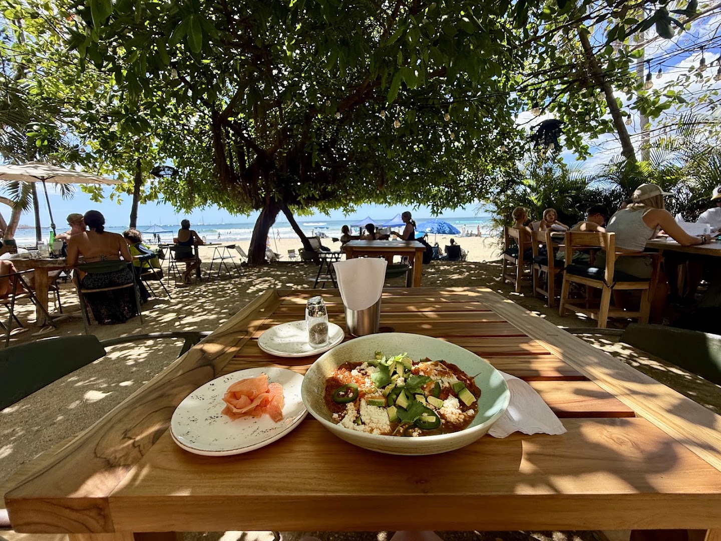 Pico Bistro: appealing atmosphere and food presentation