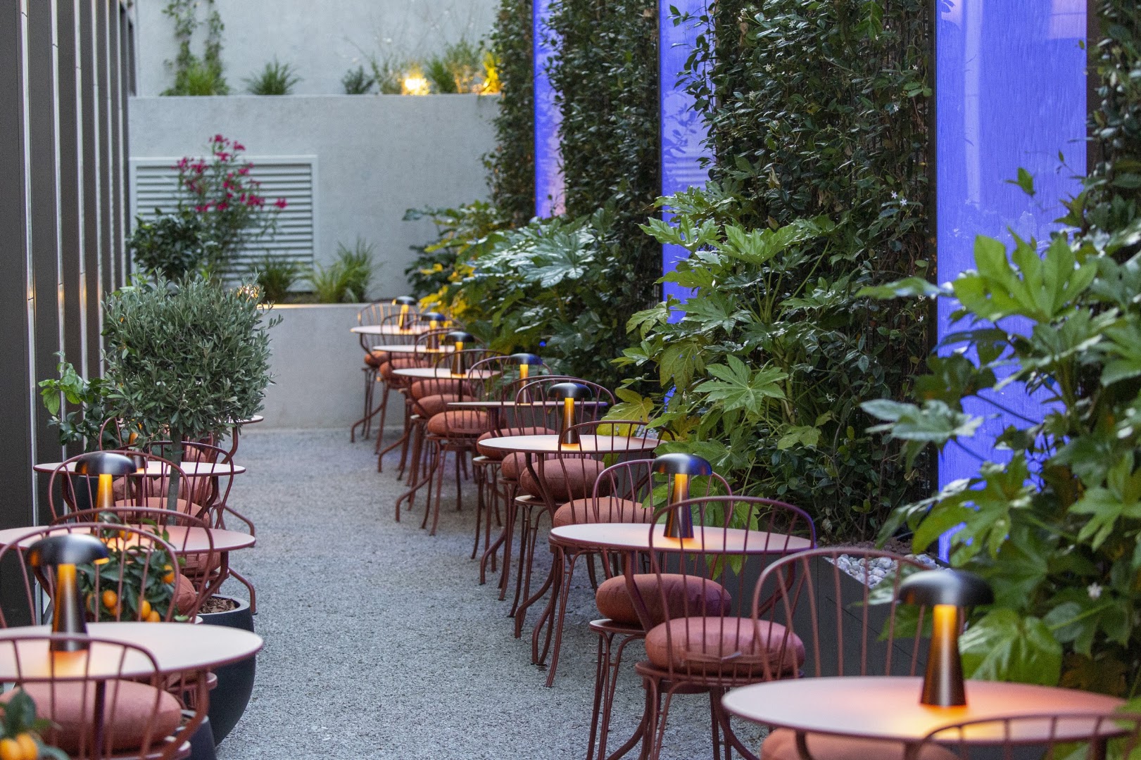 Restaurant Pierrot: attractive and professional terrace shot