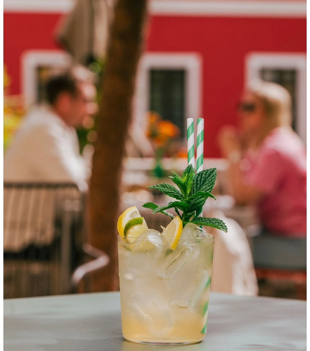 Okus Soli: appealing, professional food and atmosphere