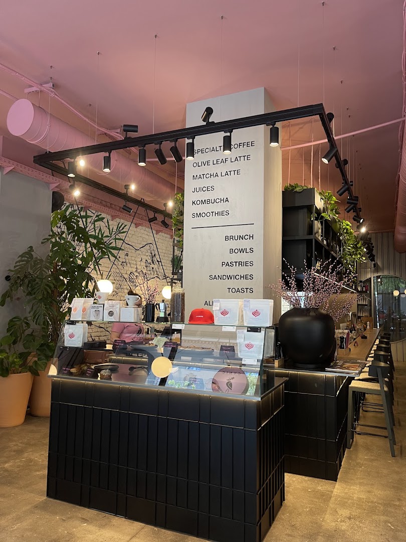 Cynic: clear, professional interior shot