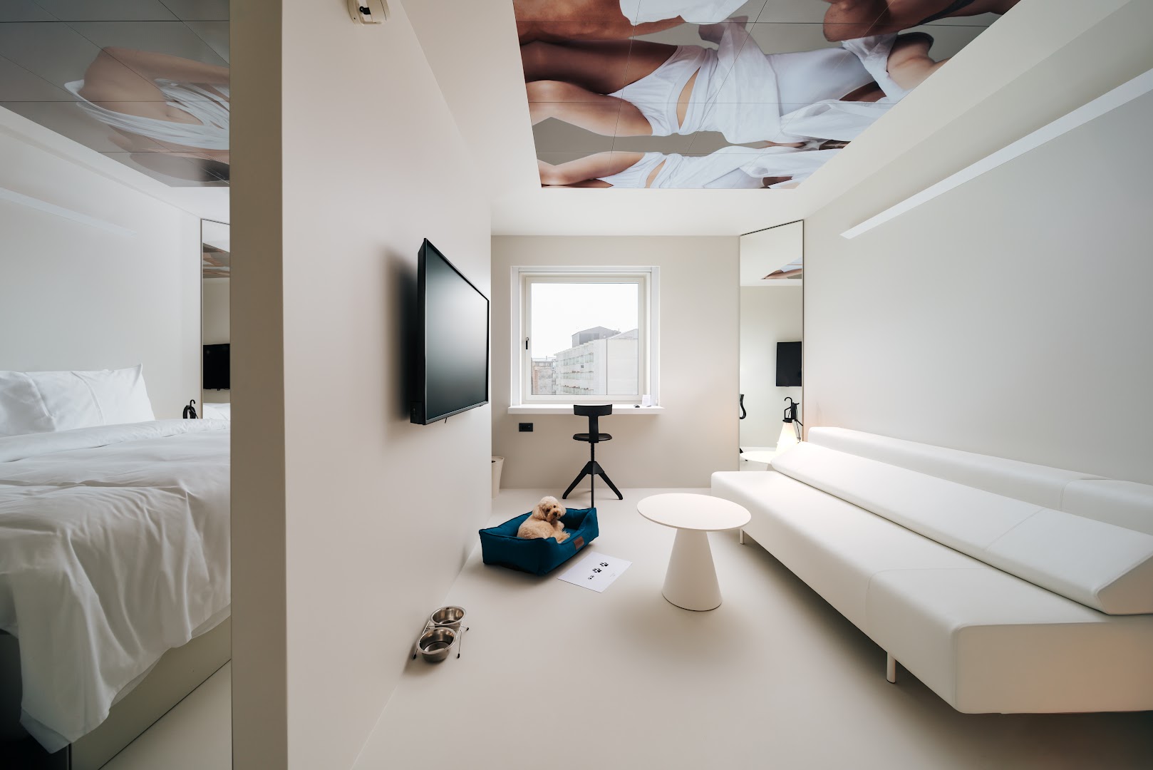 Stellar Boutique Modules: professional photo of hotel room