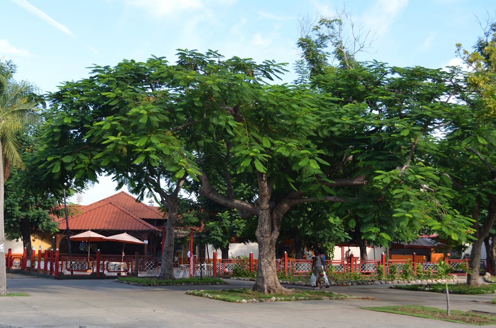 Café Palmares: venue exterior and atmosphere