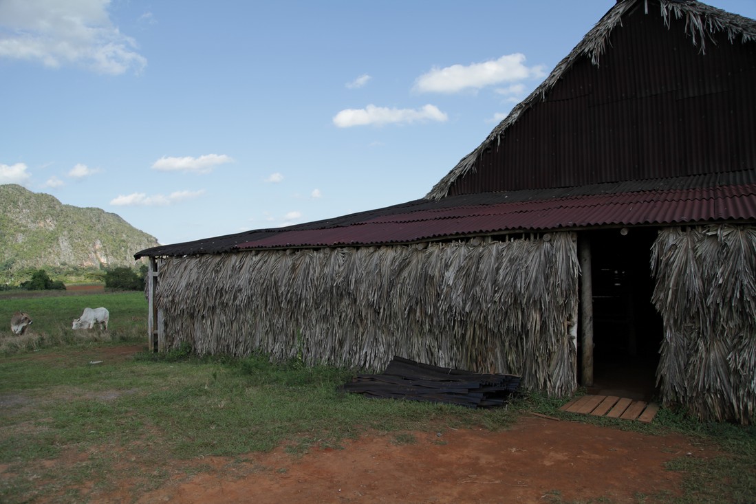 Centro Cultural Polo Montañez: venue exterior and atmosphere