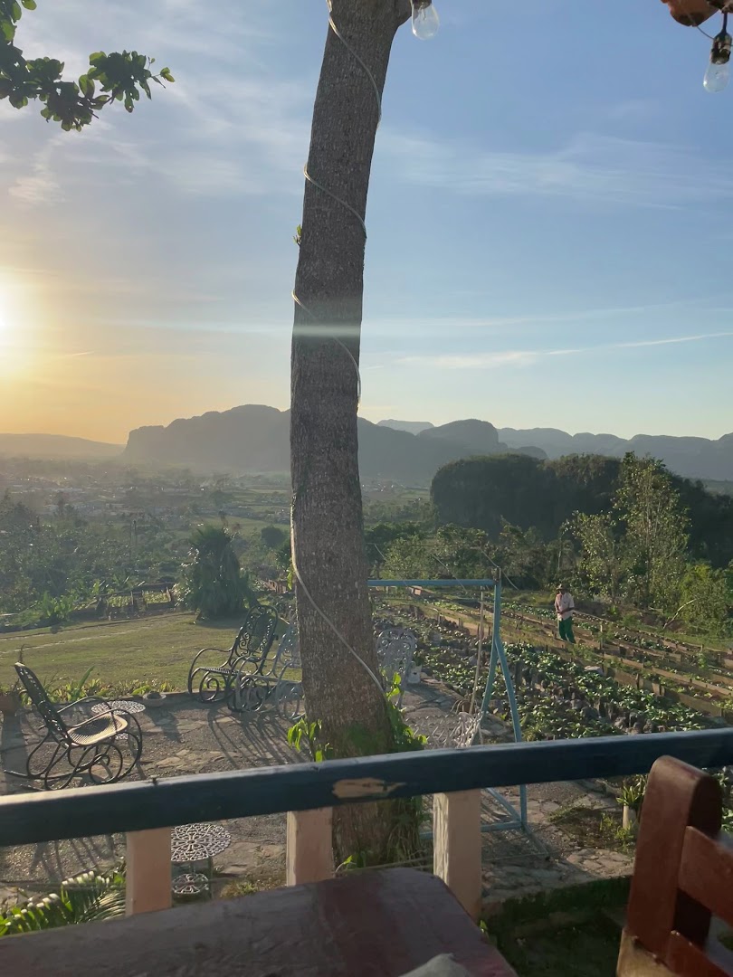 Finca Agroecológica El Paraíso: beautiful scenic restaurant view