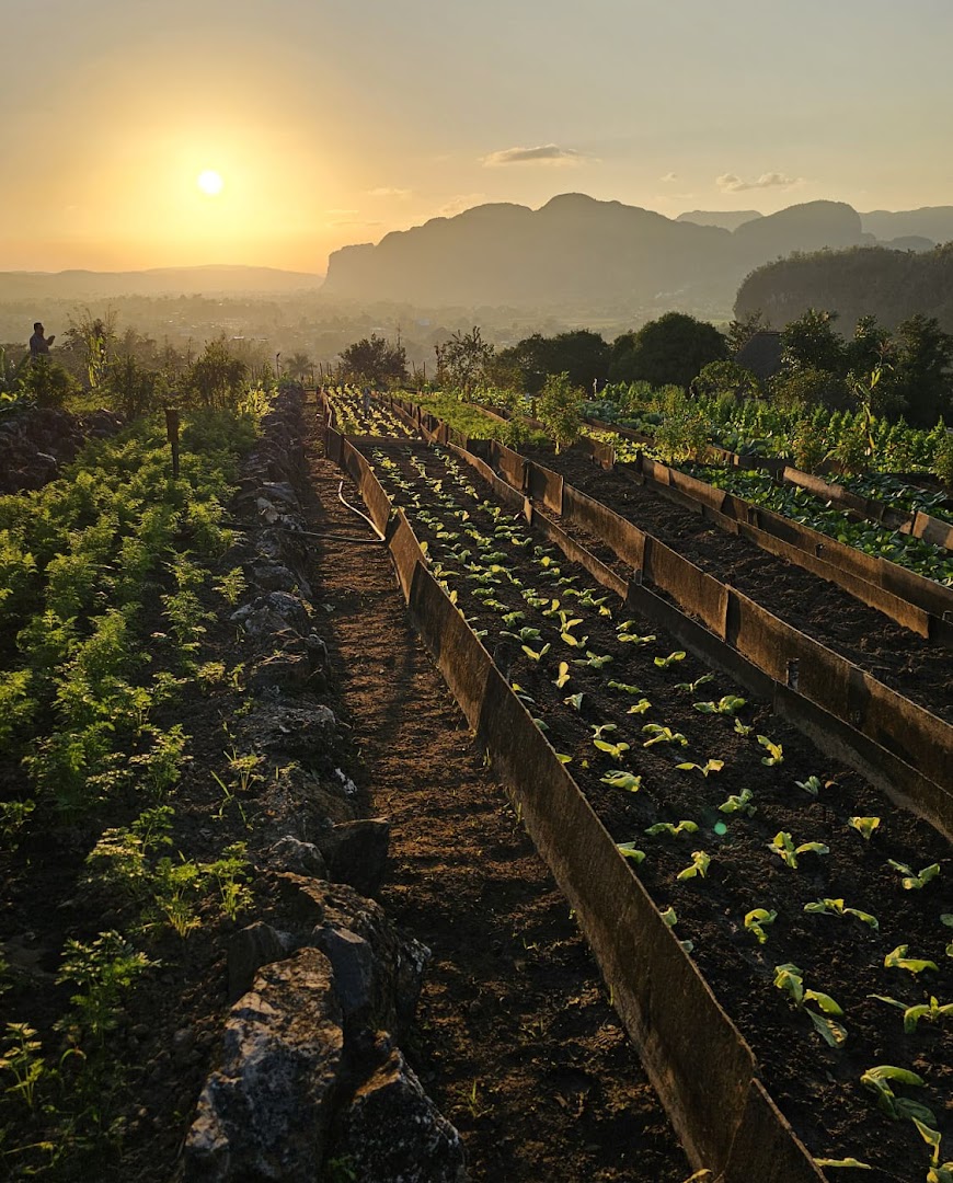 Finca Agroecológica El Paraíso: beautiful atmosphere and scenic view