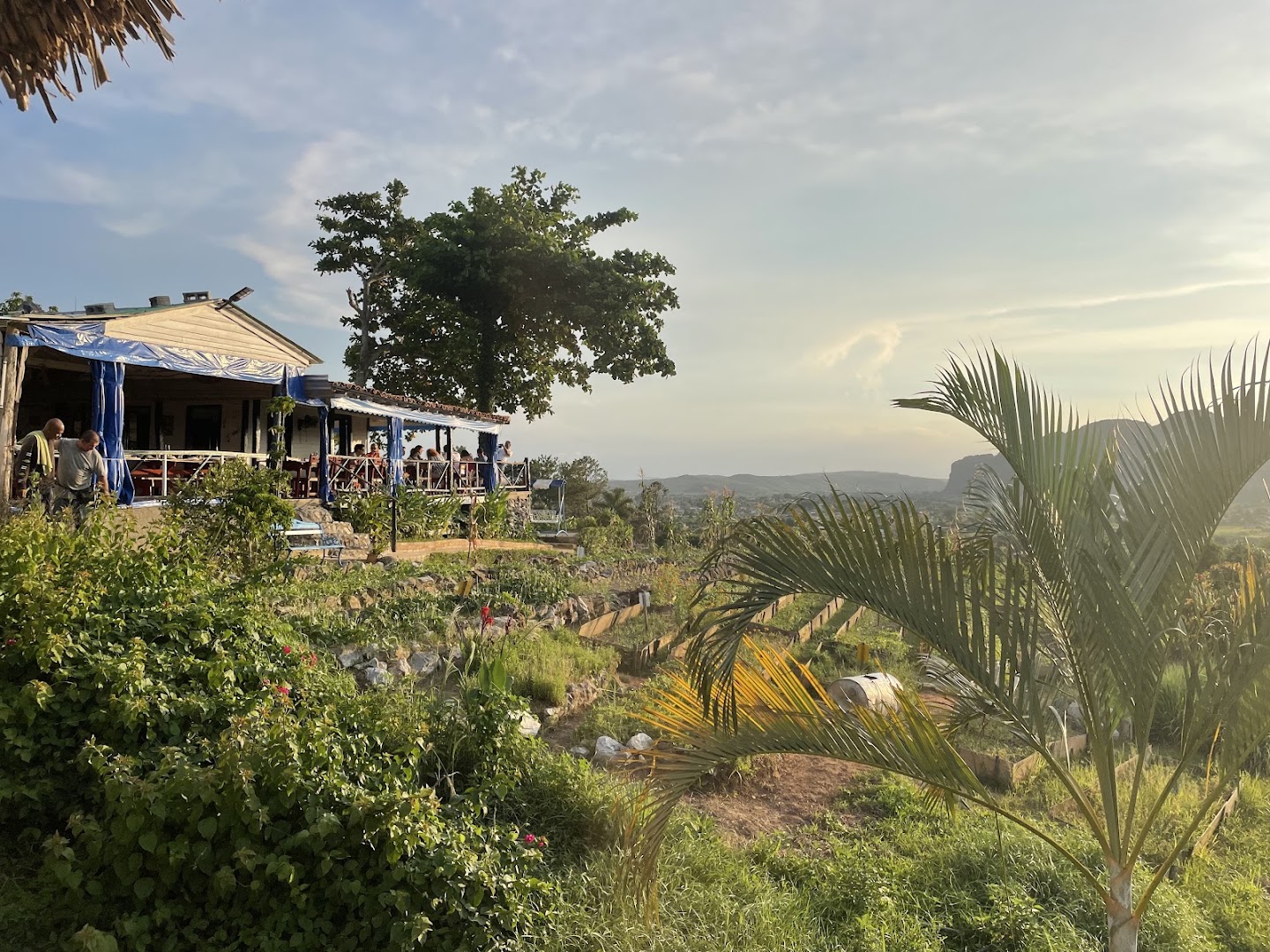 Finca Agroecológica El Paraíso: beautiful scenic view of restaurant