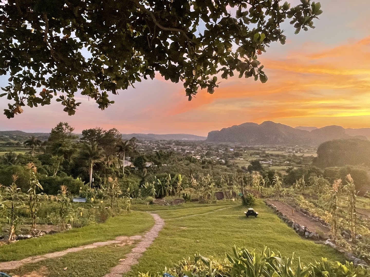 Finca Agroecológica El Paraíso: beautiful scenic view of venue