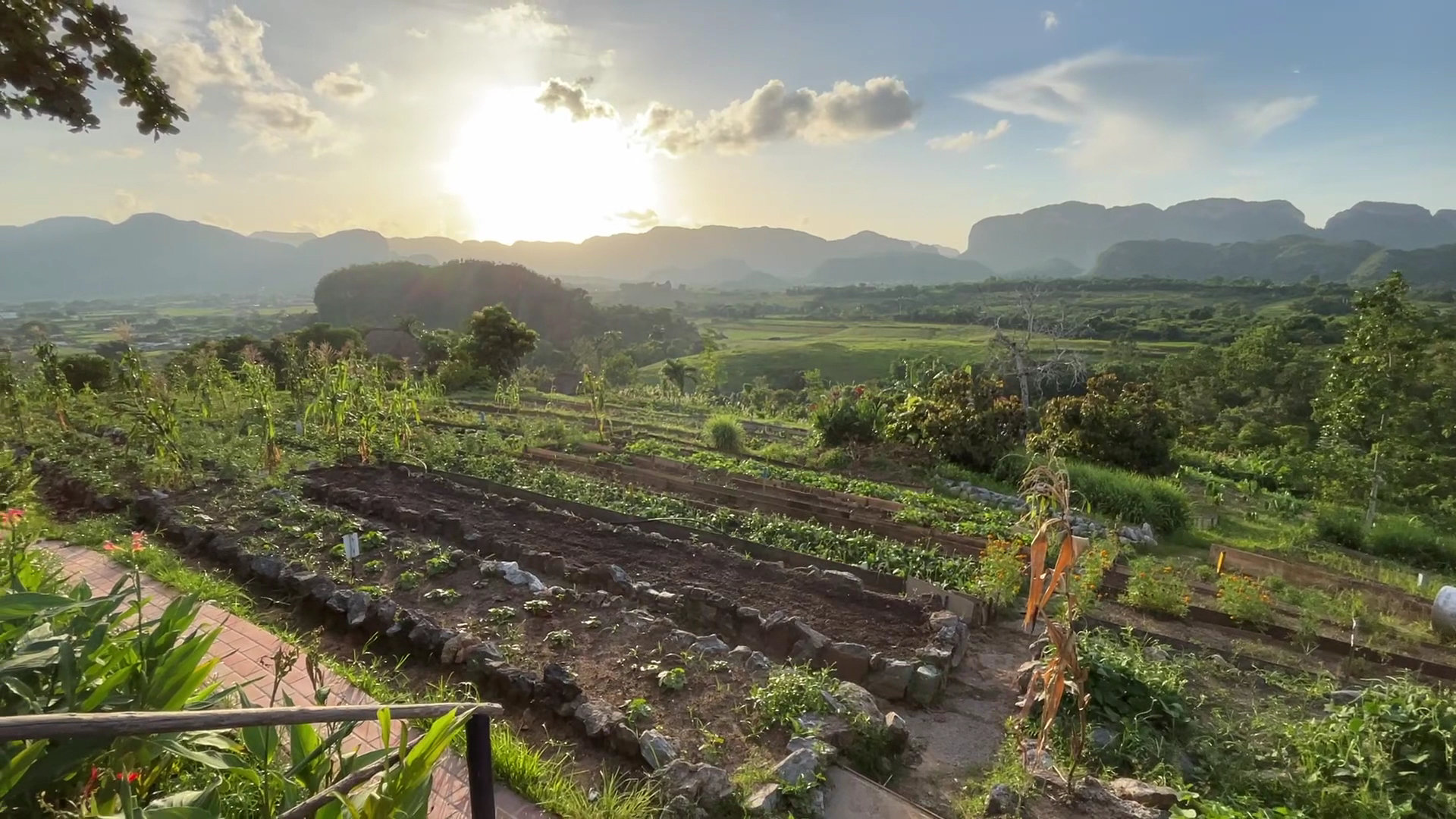 Finca Agroecológica El Paraíso: beautiful scenic view of farm