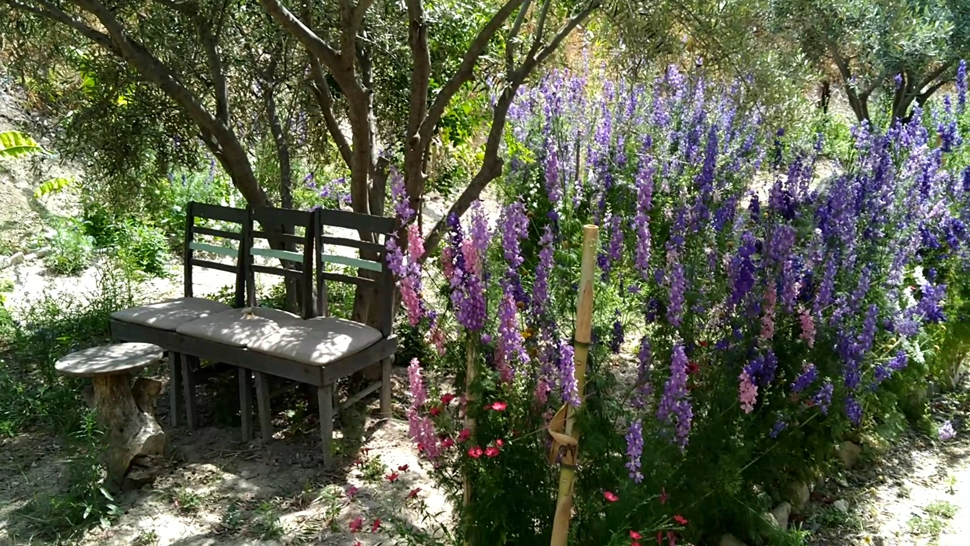 Avli tis Nefelis: beautiful and inviting outdoor seating