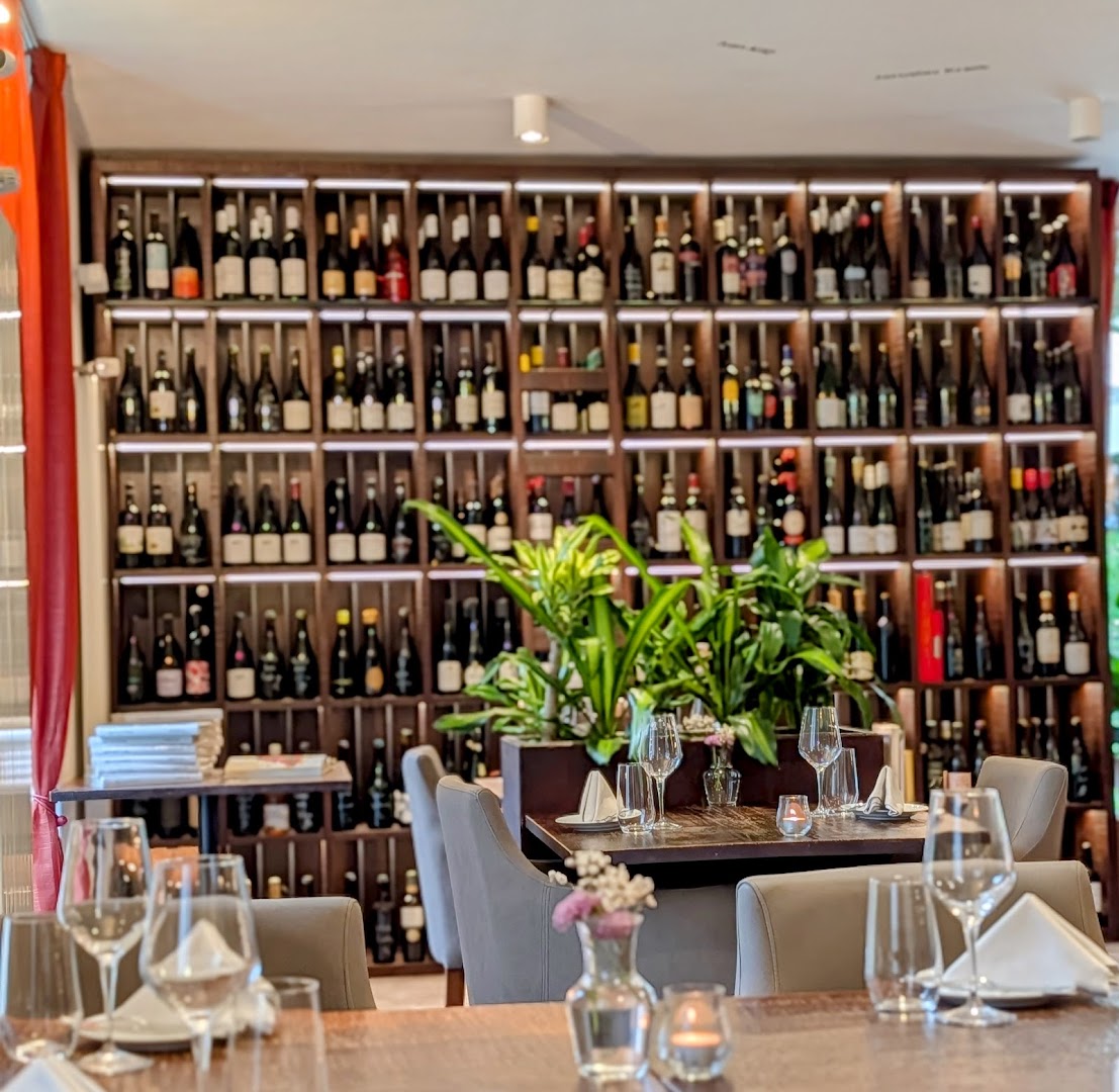 Kohout na víně: inviting atmosphere and professional quality
