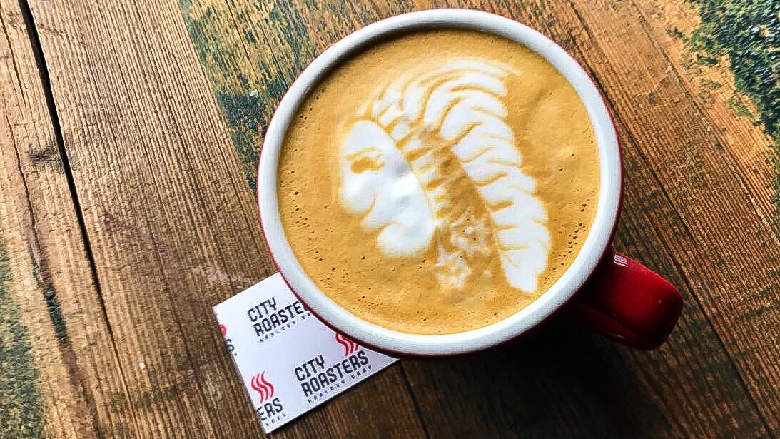 City Roasters: high quality latte art photo