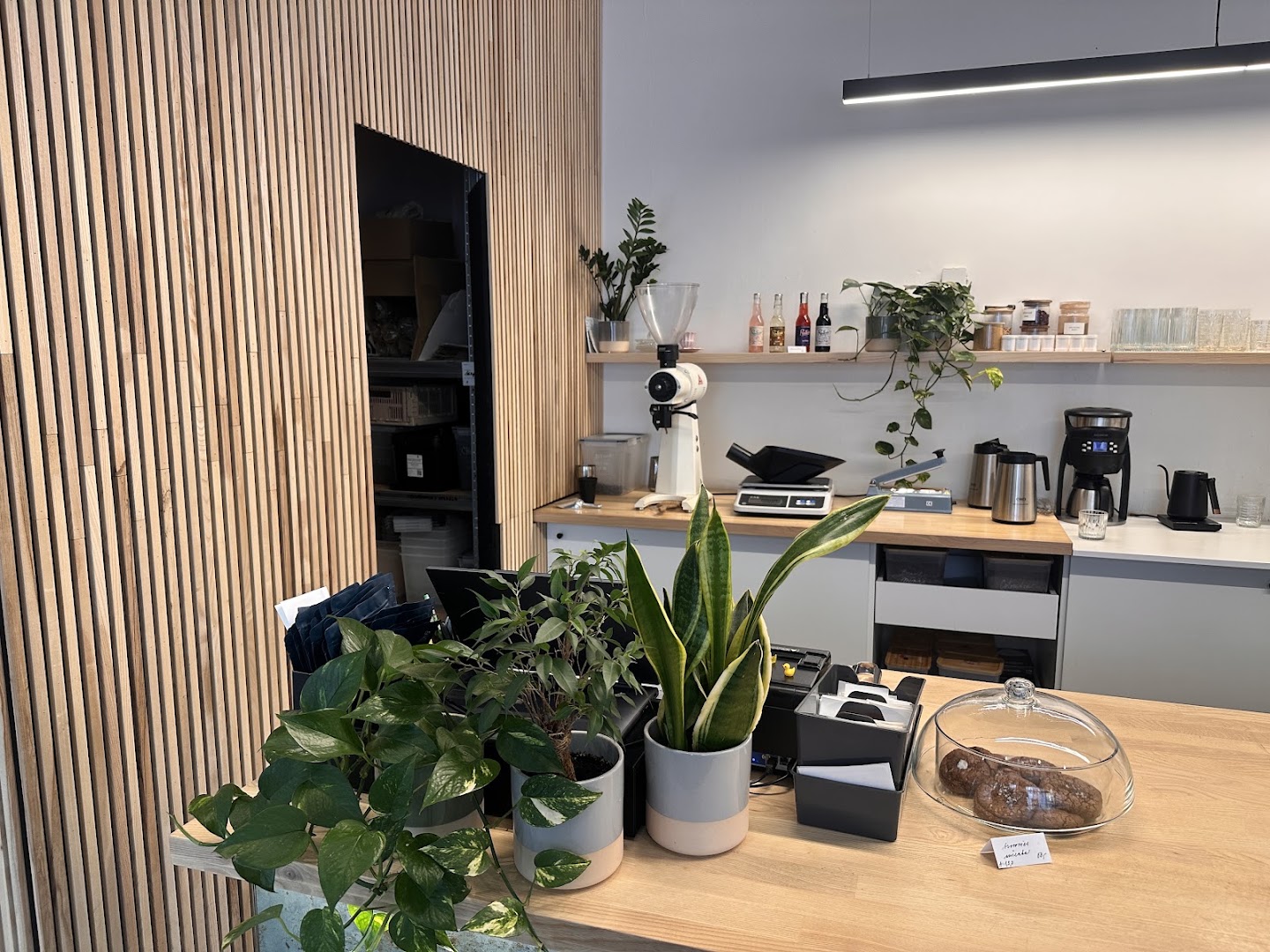 Kikafe: clean and inviting interior shot