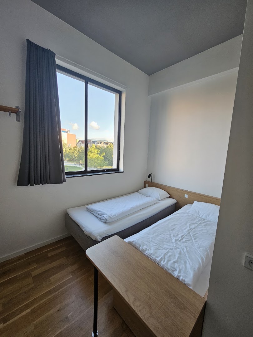 Roberta's Society: clean, professional hotel room photo