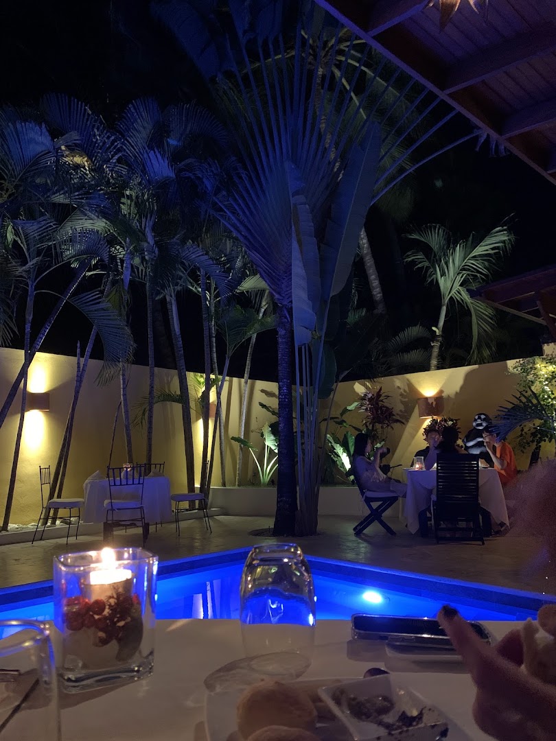 Bliss Restaurant: inviting atmosphere and professional quality