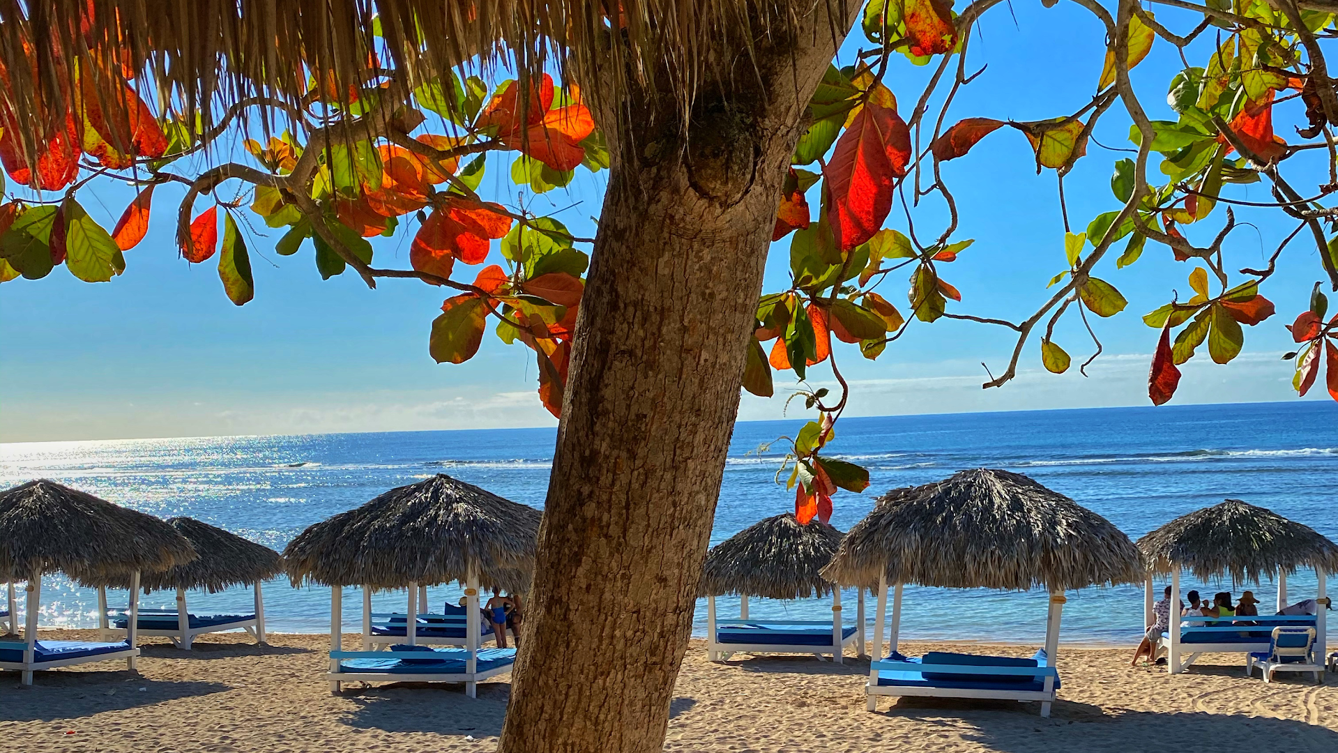 Café del Sol: beautiful, inviting beachside atmosphere