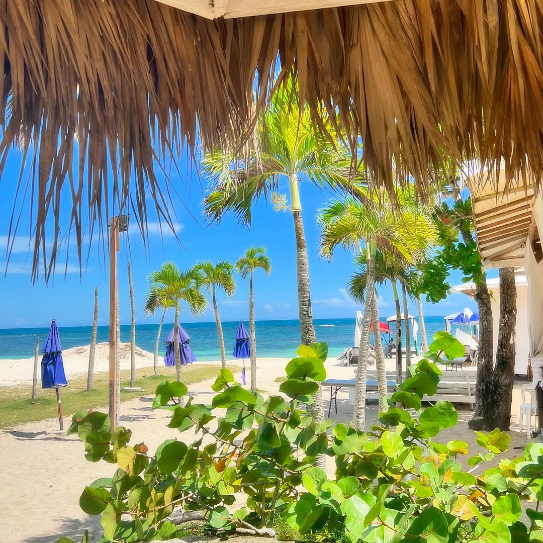 Nico's Beach Restaurant: beautiful beach restaurant atmosphere