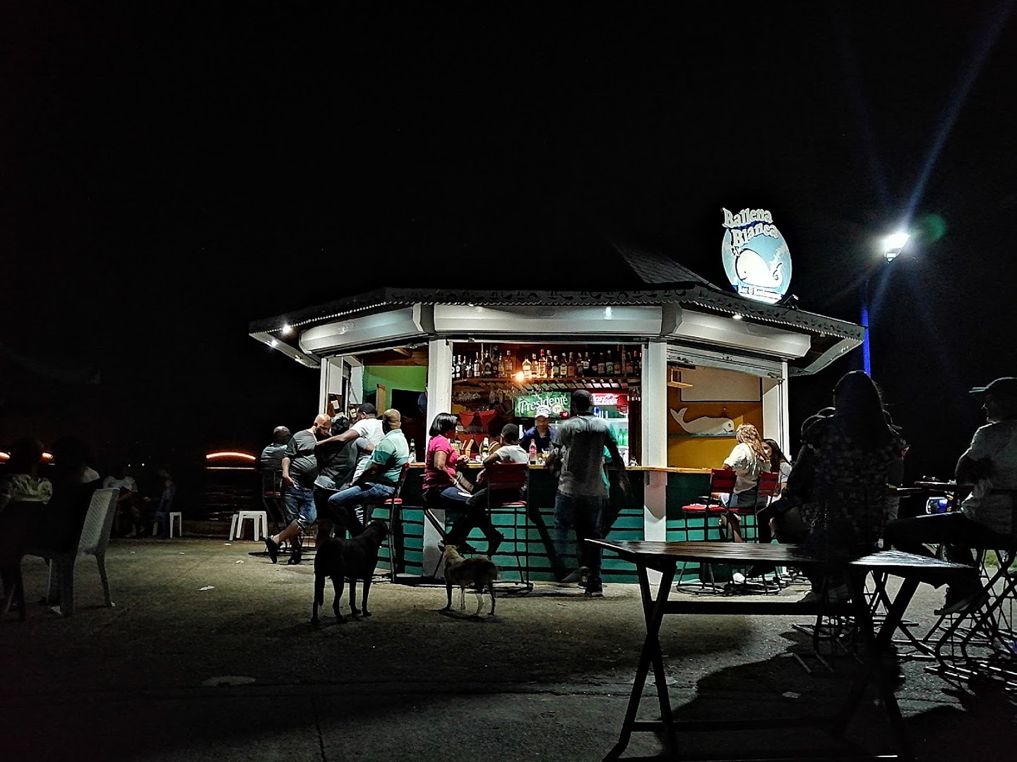 Ballena Blanca: inviting atmosphere showing venue activity