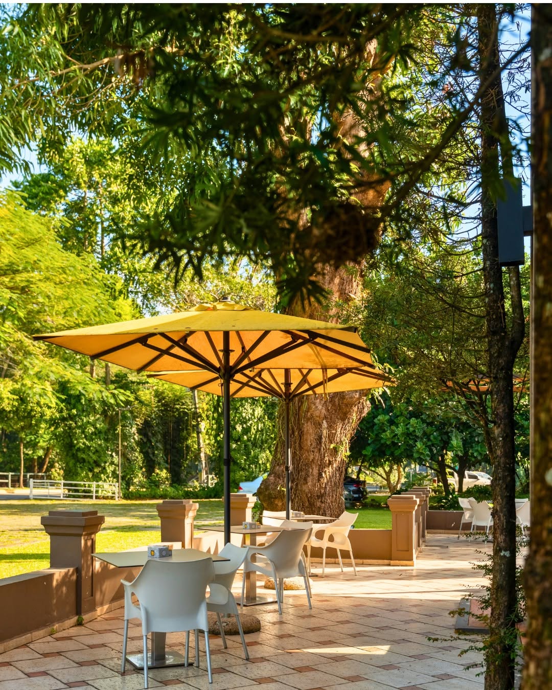 Ciao Caffetteria: inviting and professional terrace shot