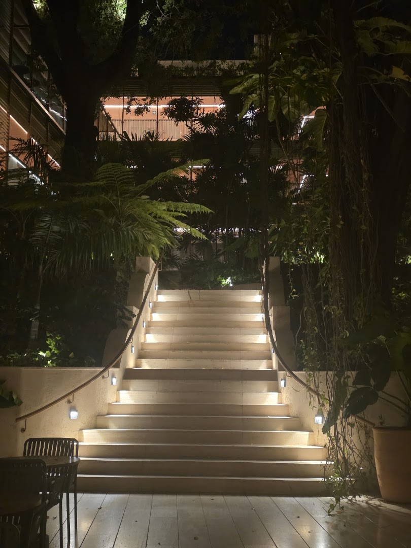 Zola: beautiful atmospheric shot of venue