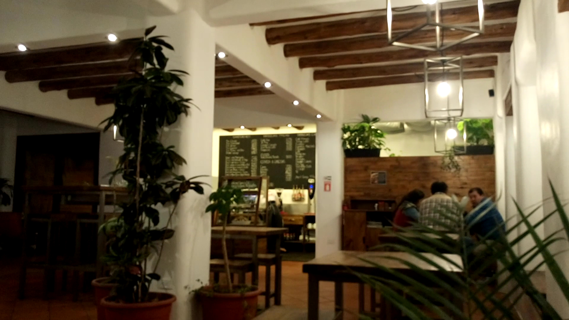 La Cosecha Coffee & Bakery: inviting atmosphere and interior view