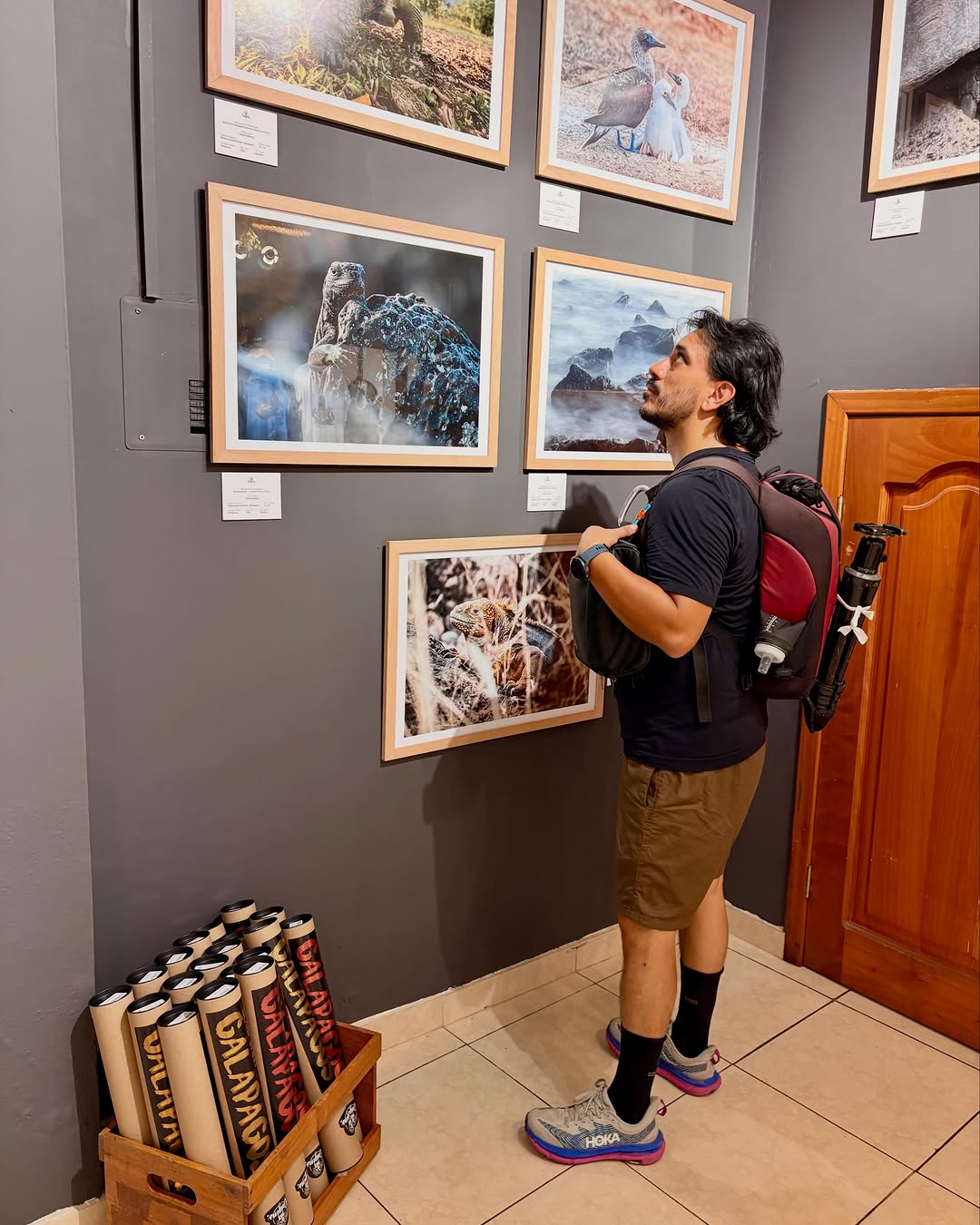593 Origins: shop interior and products