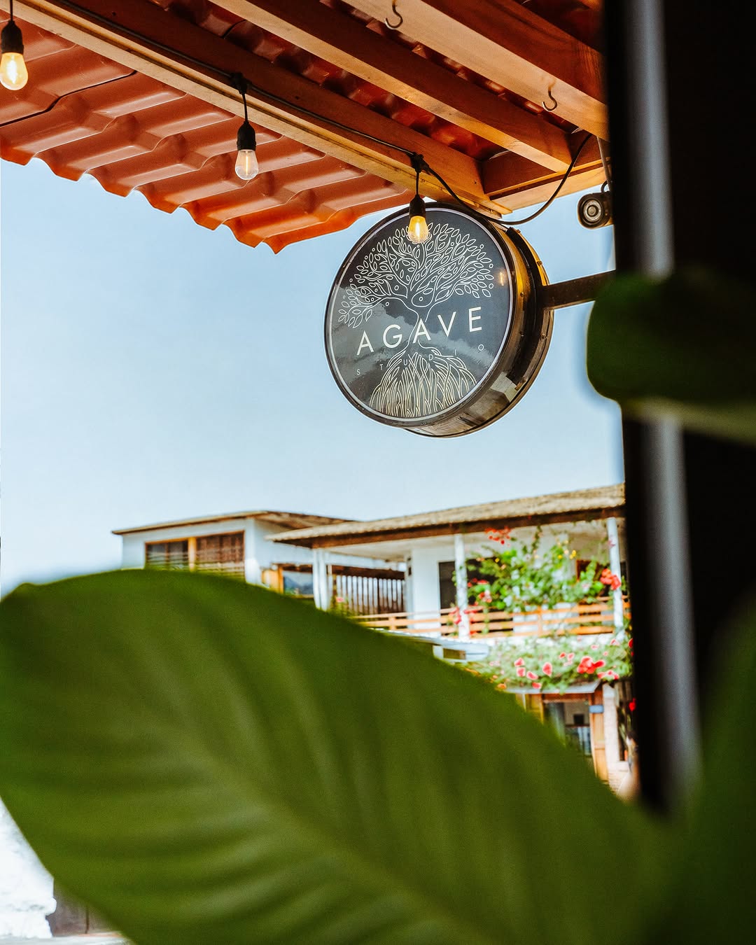 Agave Bistro: professional and aesthetic venue signage