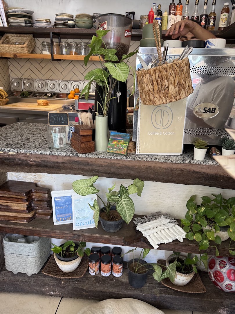Coffee & Cotton: clear, inviting view of counter