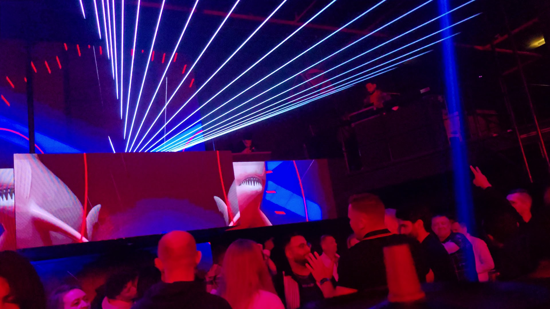Club 61: club's vibrant atmosphere