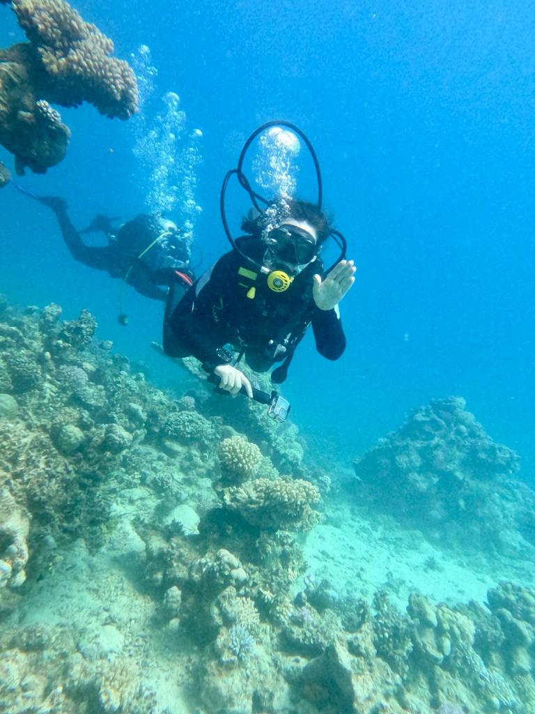 Deep South Divers: customers enjoying diving activity