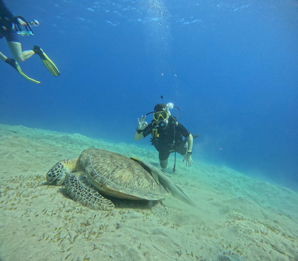 Deep South Divers: high quality underwater diving photo