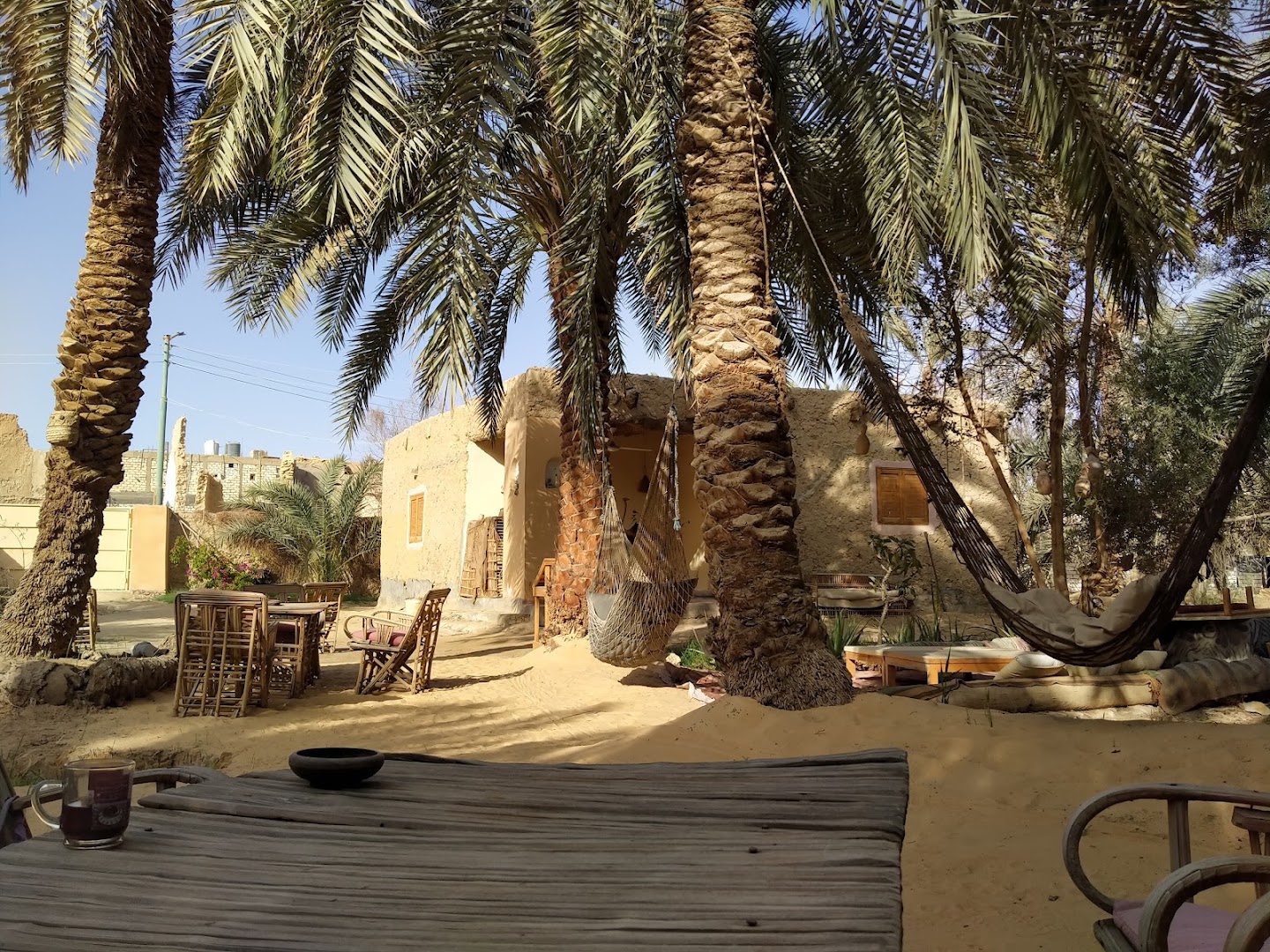 Fahmi's Garden: inviting and atmospheric restaurant setting