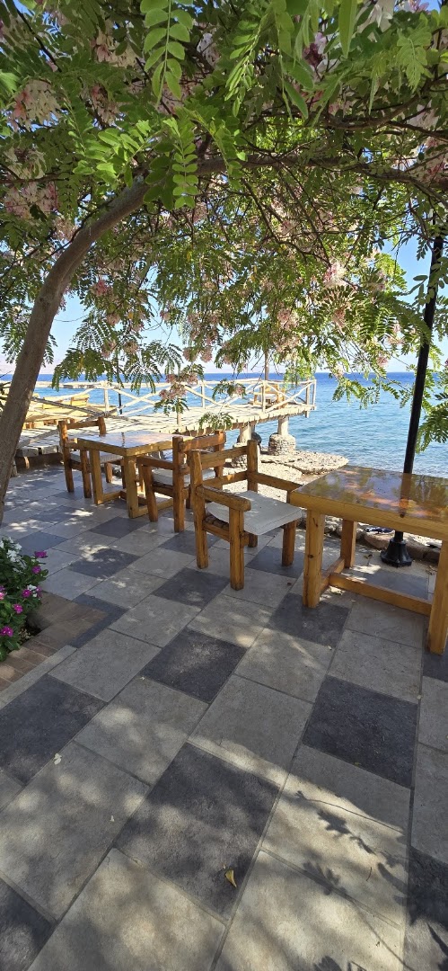 Nelson Restaurant & Bar: attractive outdoor dining area view