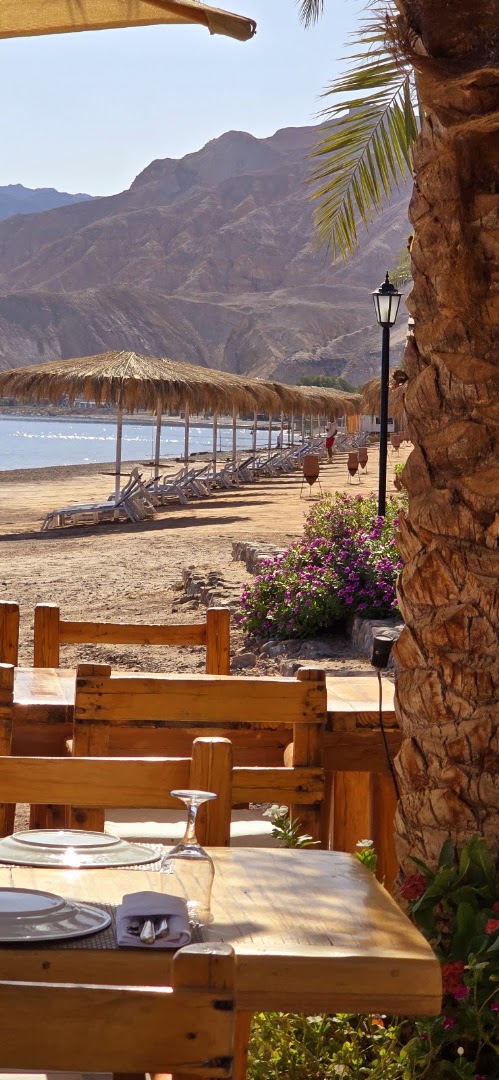 Nelson Restaurant & Bar: beautiful atmosphere and scenic view
