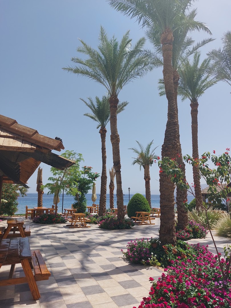 Nelson Restaurant & Bar: attractive outdoor dining atmosphere