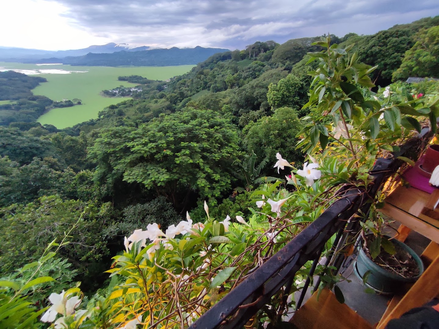 Donde Polo: beautiful scenic restaurant terrace view