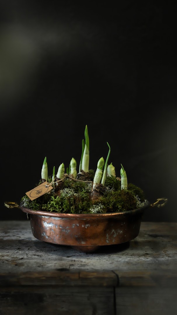 AITeljee lillepood: professional and aesthetic product photo