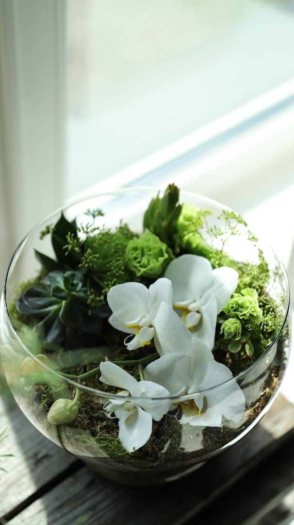 AITeljee lillepood: high quality product display photo