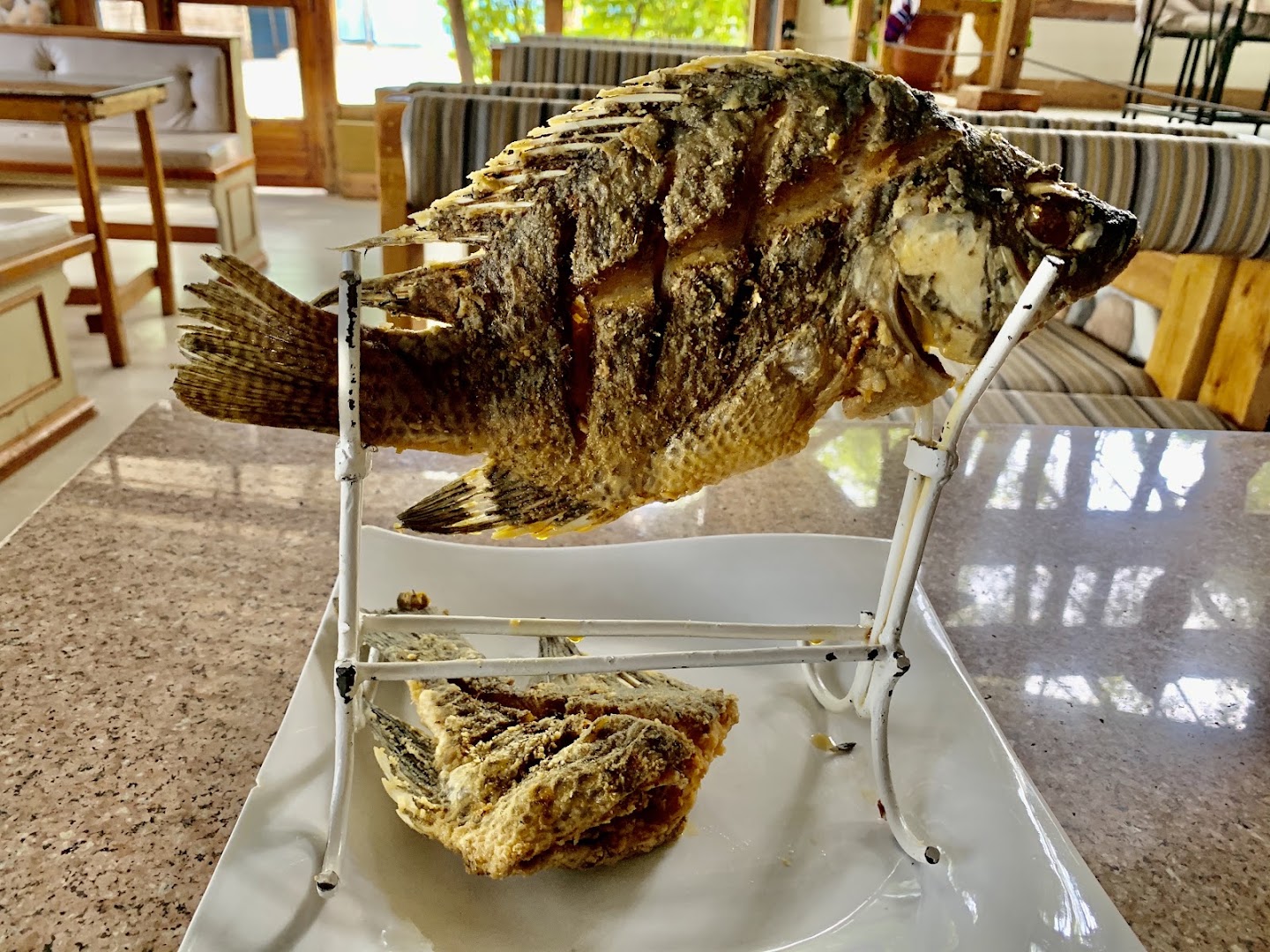 JEBM Restaurant: appetizing, well-lit food presentation