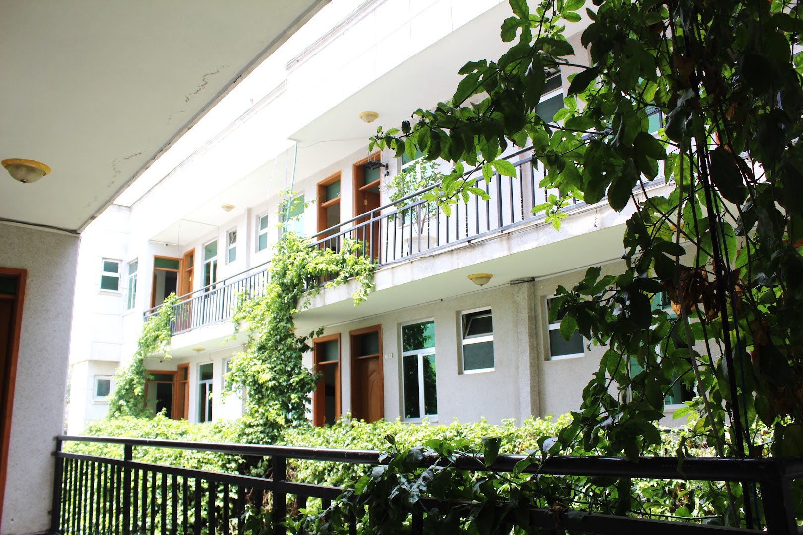 Moringa Hotel Restaurant: clear view of hotel exterior