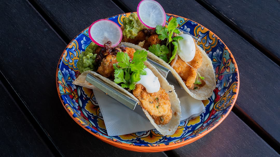 Cantina Grill & Bar: appetizing, high-quality food photography