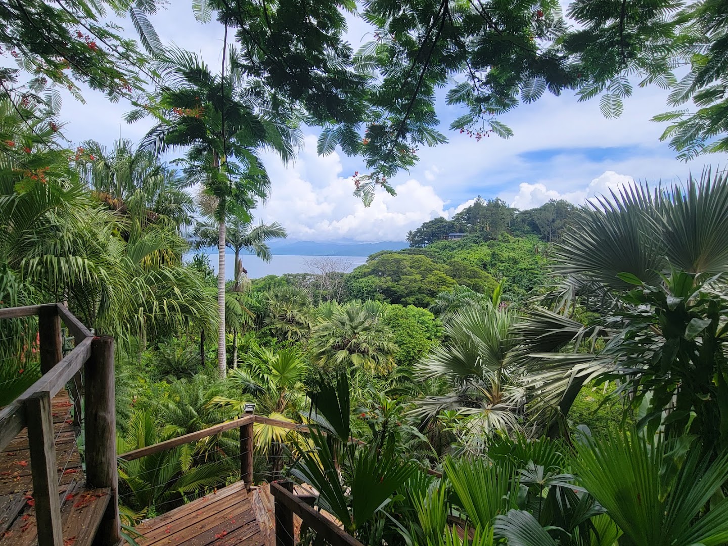 Flora Tropica Gardens: beautiful scenic view of gardens