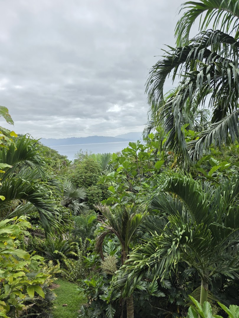 Flora Tropica Gardens: beautiful view of the gardens