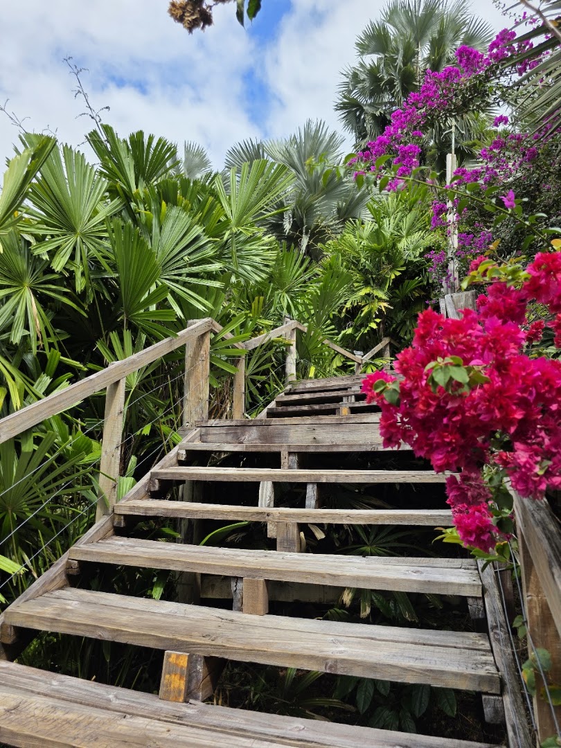 Flora Tropica Gardens: beautiful garden atmosphere and scenery