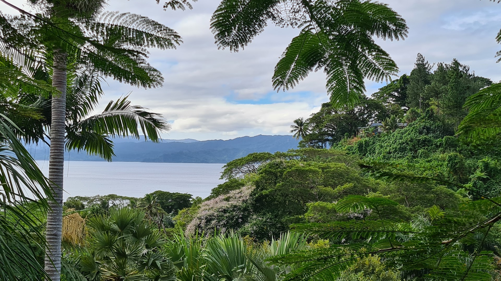 Flora Tropica Gardens: beautiful scenic view of gardens