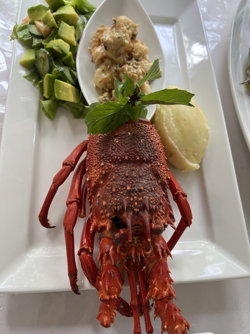Eden Bistro & Bar: high quality food photography